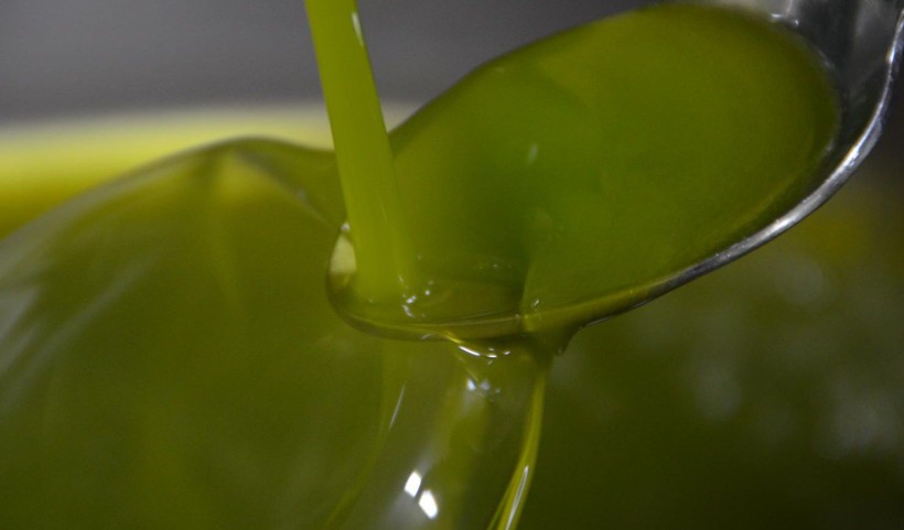 The new extravirgin olive oil (2022): characteristics